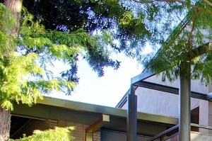 5908 Gaston - PLAZA